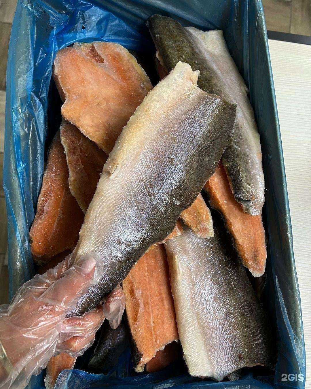 Отзывы на компанию Samorodova_ikra в Краснодаре c фото