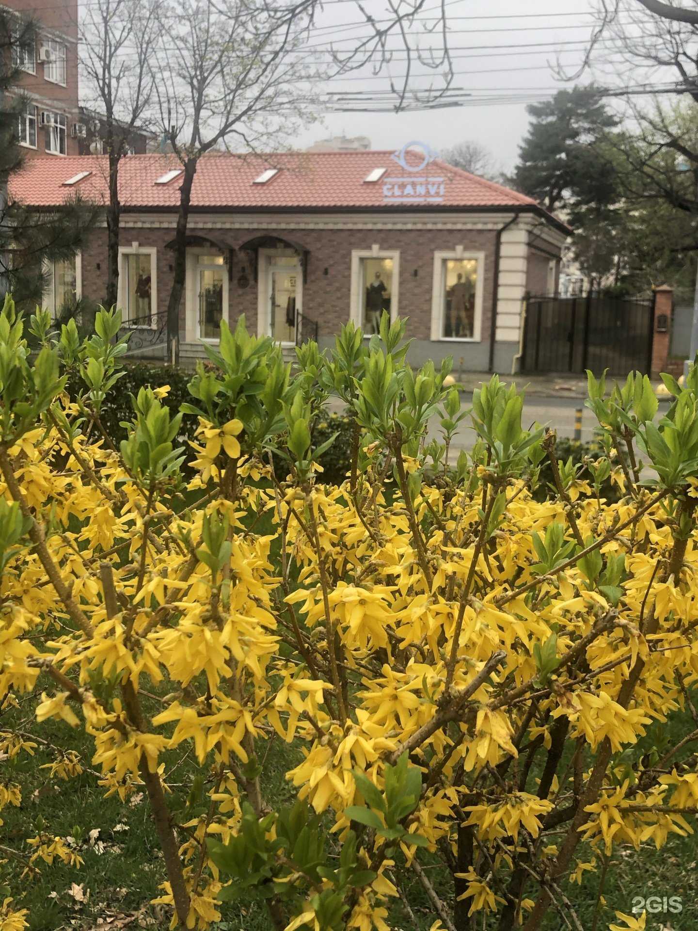 Отзывы на компанию Карамель в Краснодаре c фото - фотография 2 из 2