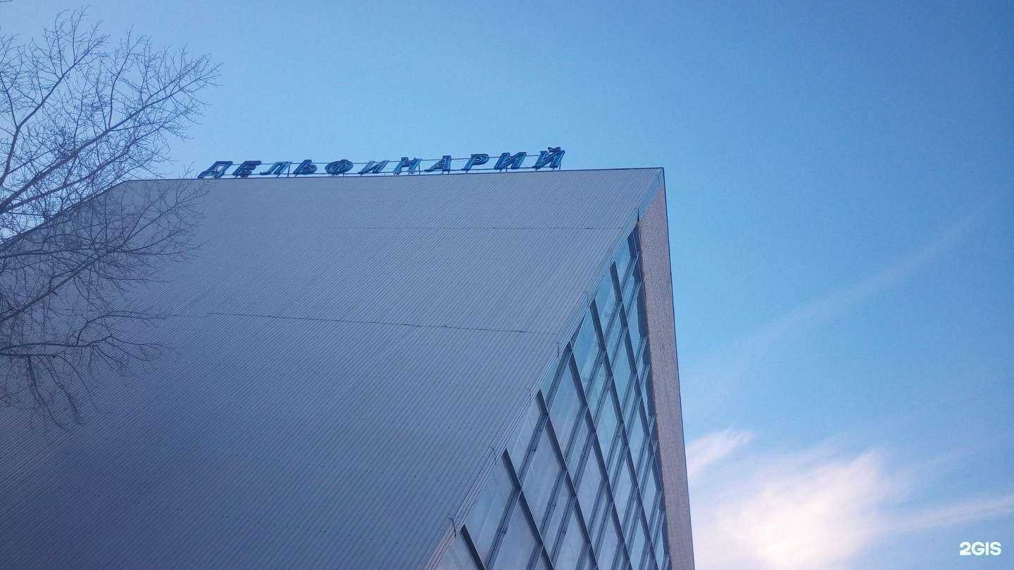 Отзывы на компанию Набережночелнинский дельфинарий в Набережных Челнах c фото - фотография 2 из 2