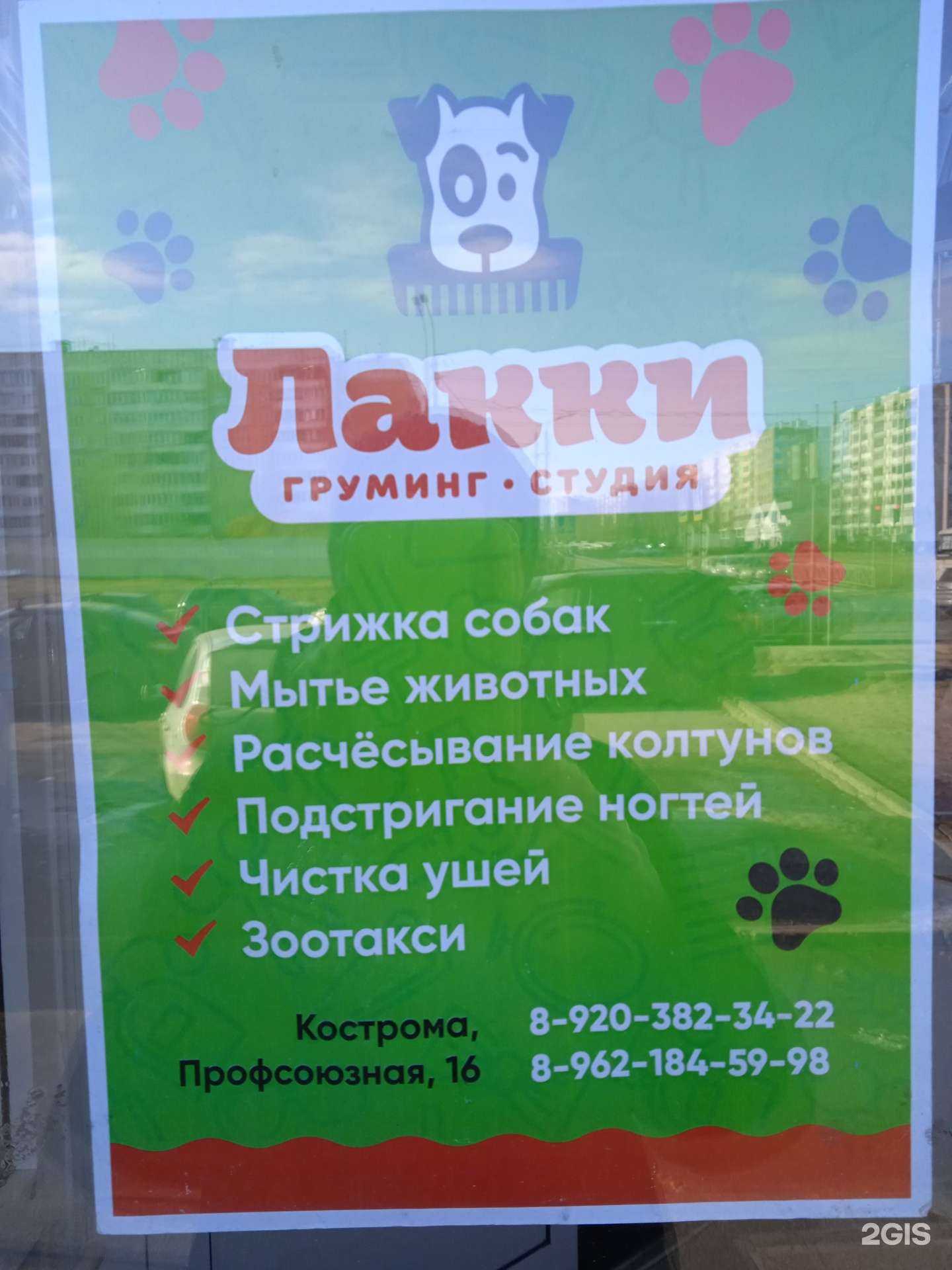 Отзывы на компанию Лакки в Костроме c фото