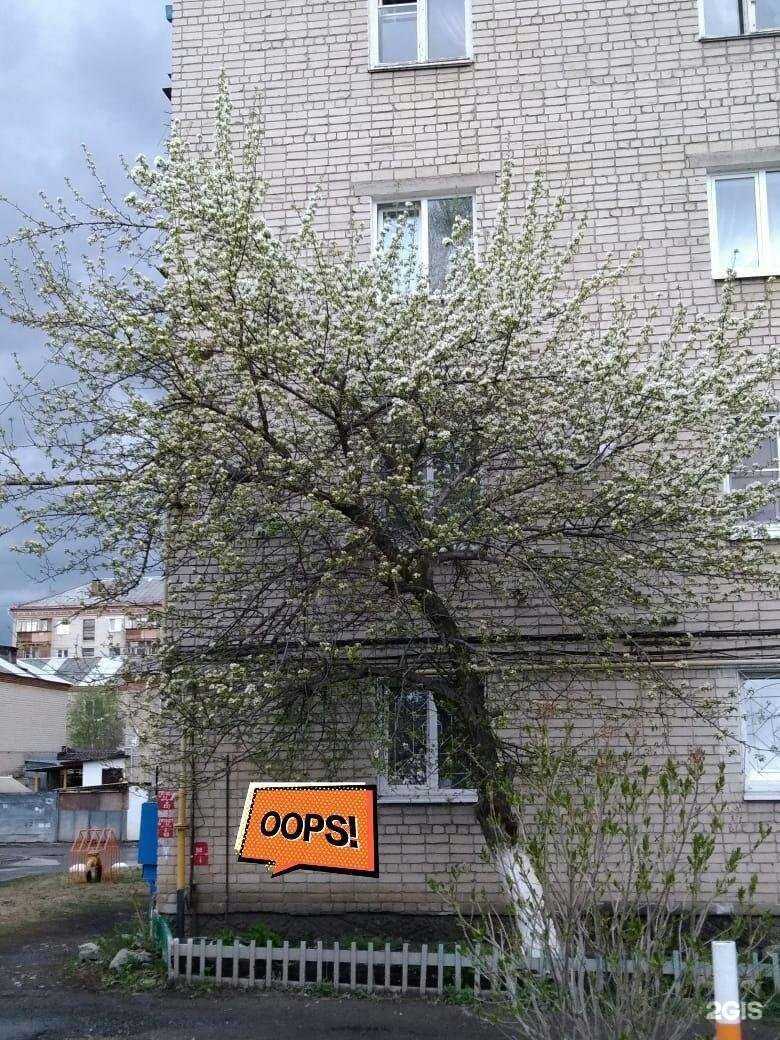 Отзывы на компанию Студия наращивания ресниц в Екатеринбурге c фото - фотография 2 из 2