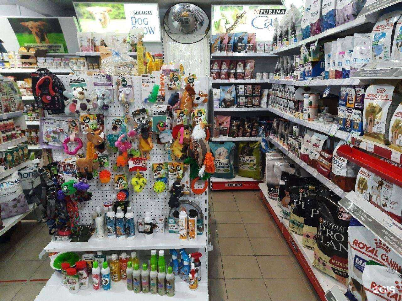 Отзывы на компанию Лапка в г. Иркутск c фото