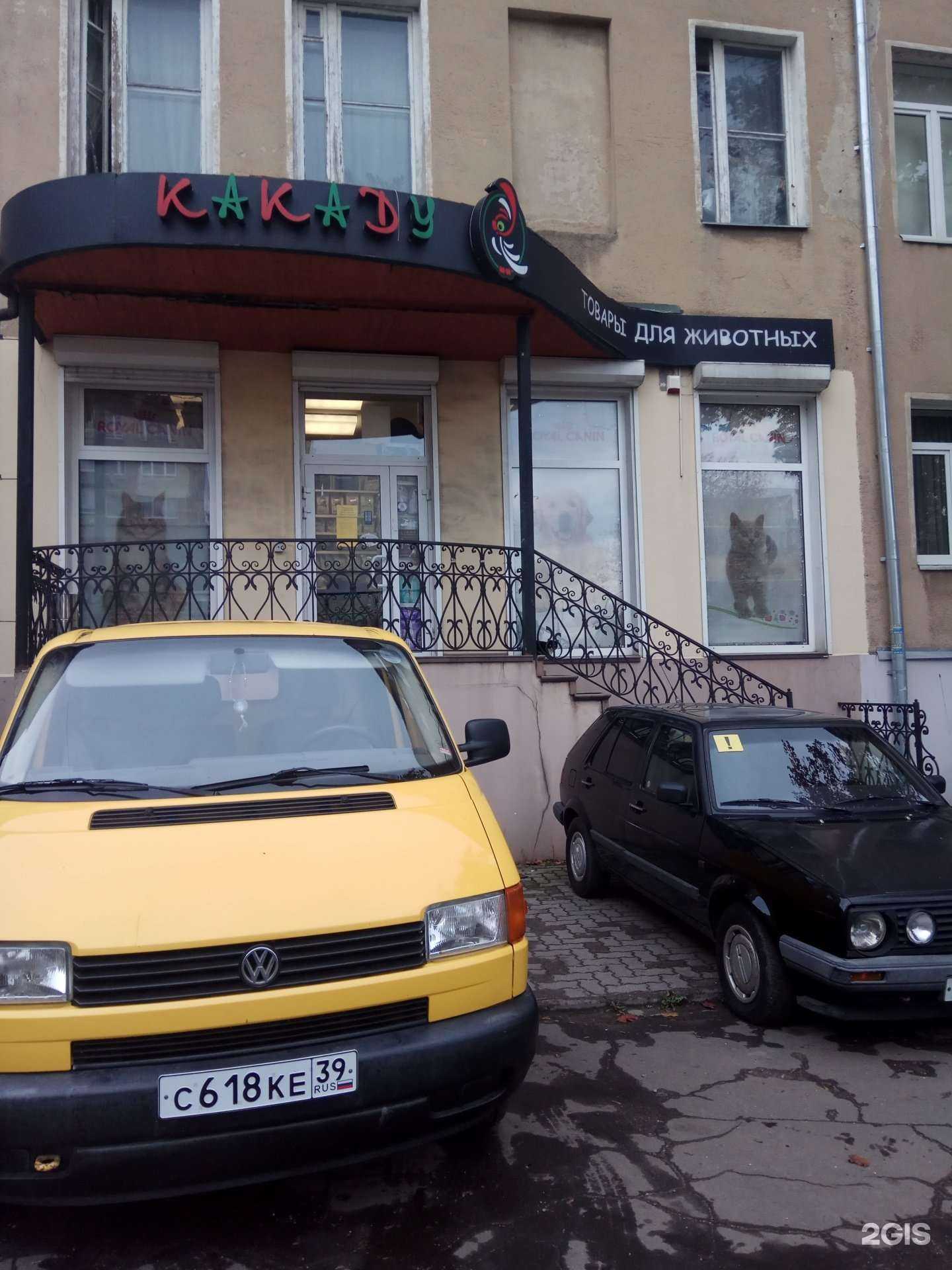 Отзывы на компанию Какаду в Калининграде c фото