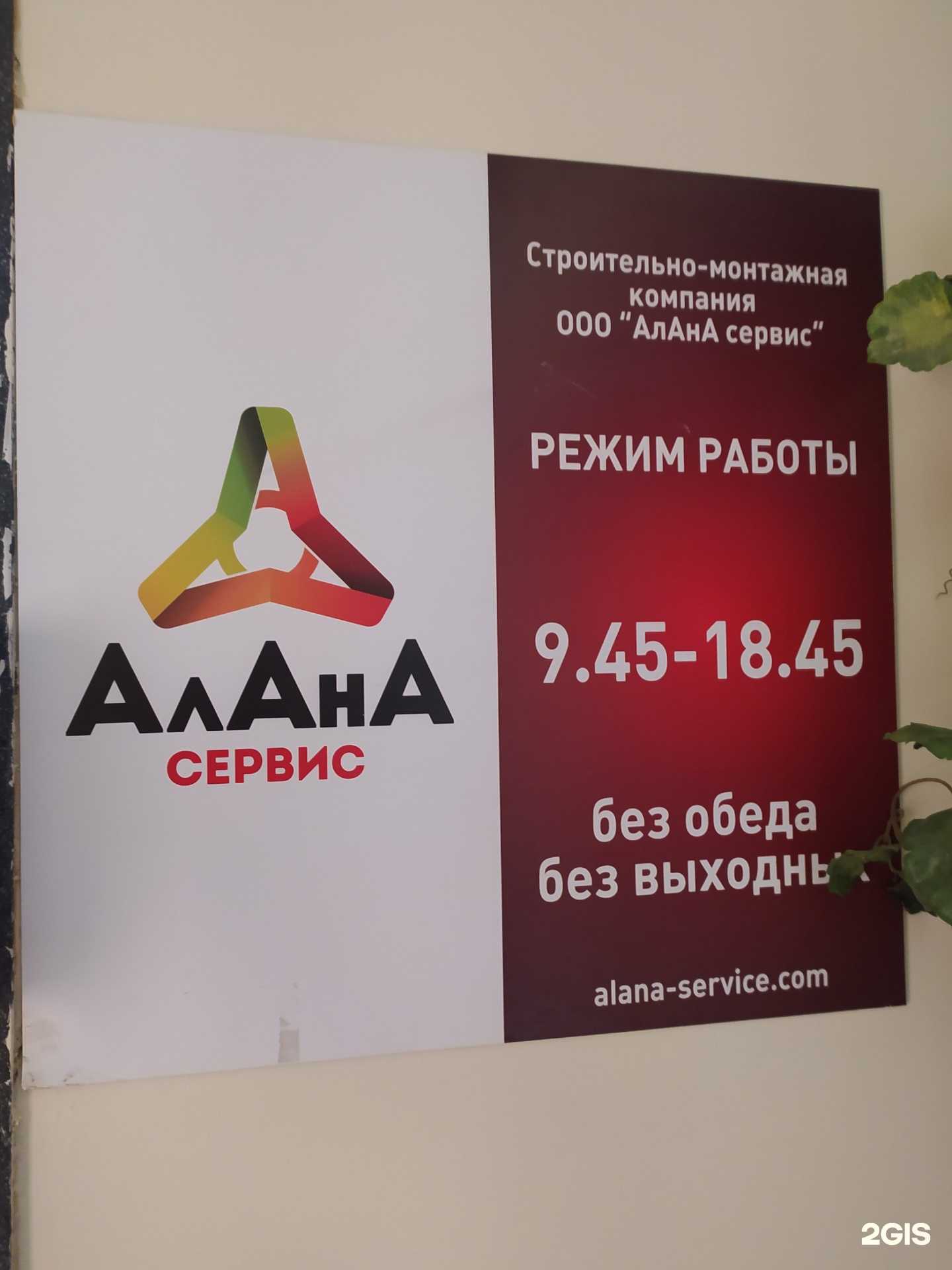 Отзывы на компанию Алана сервис в г. Омск c фото