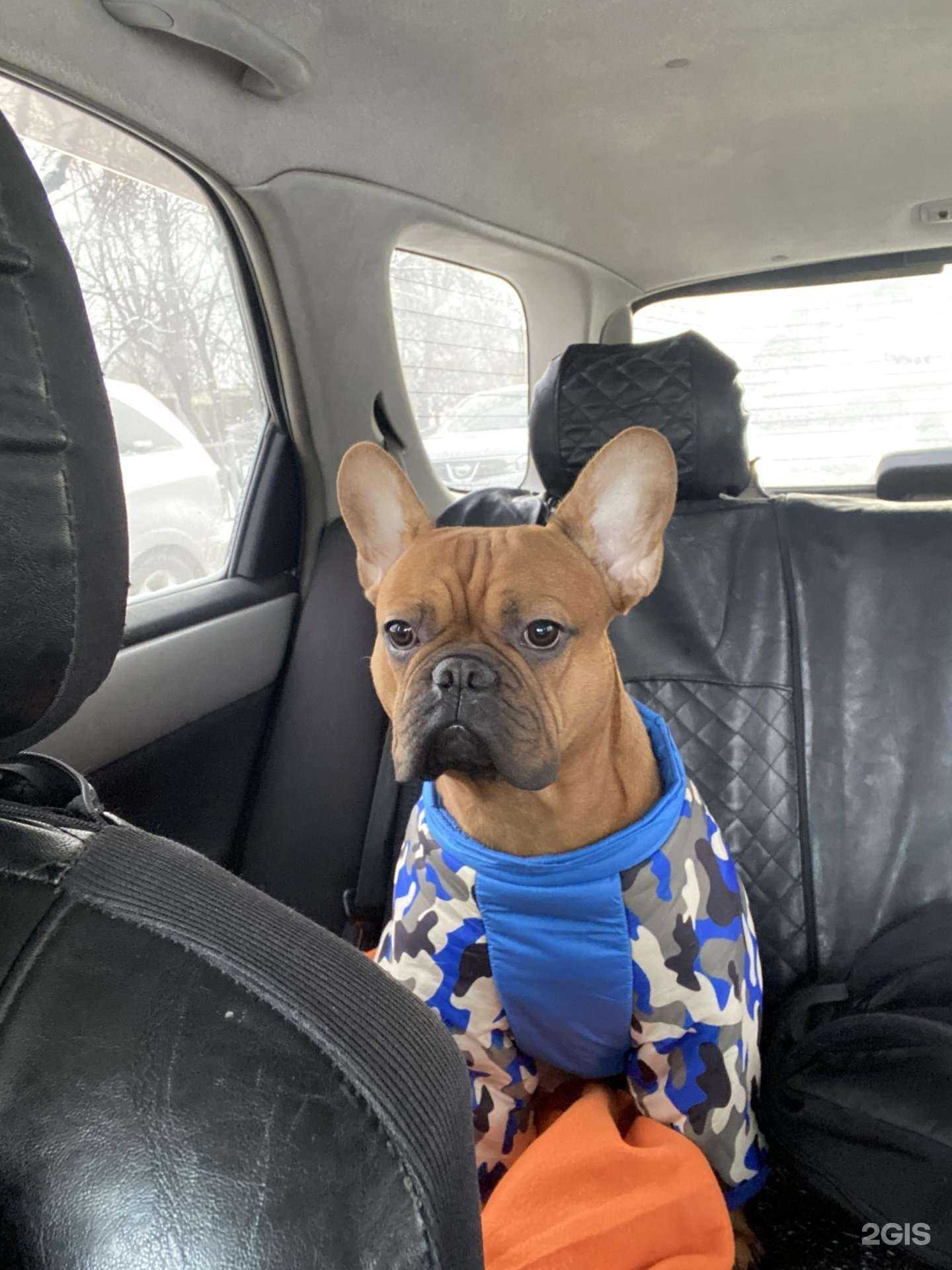 Отзывы на компанию Зоомагазин в Красноярске c фото