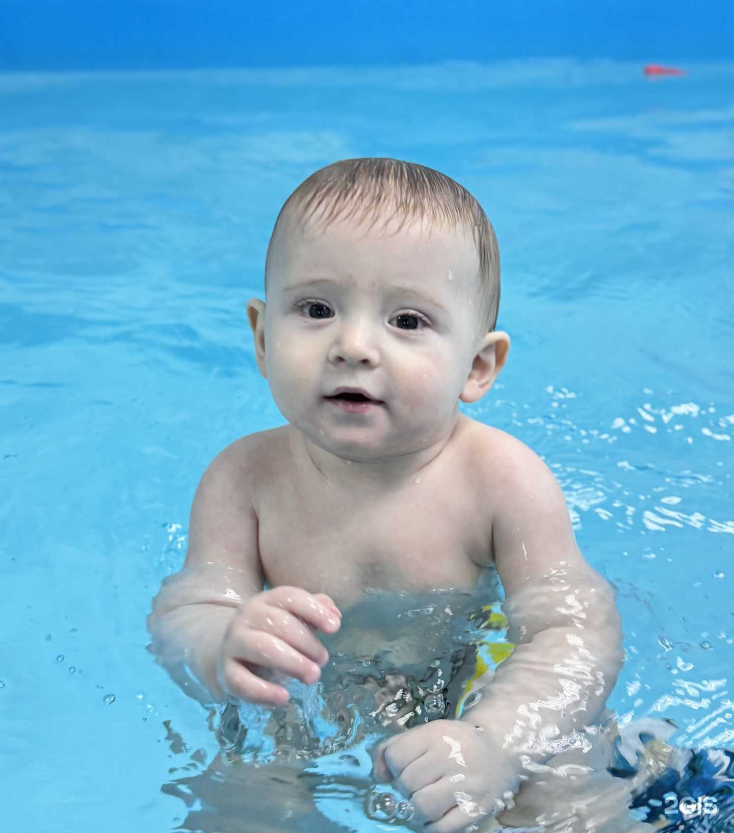 Отзывы на компанию Нерпёнок в г. Иркутск c фото