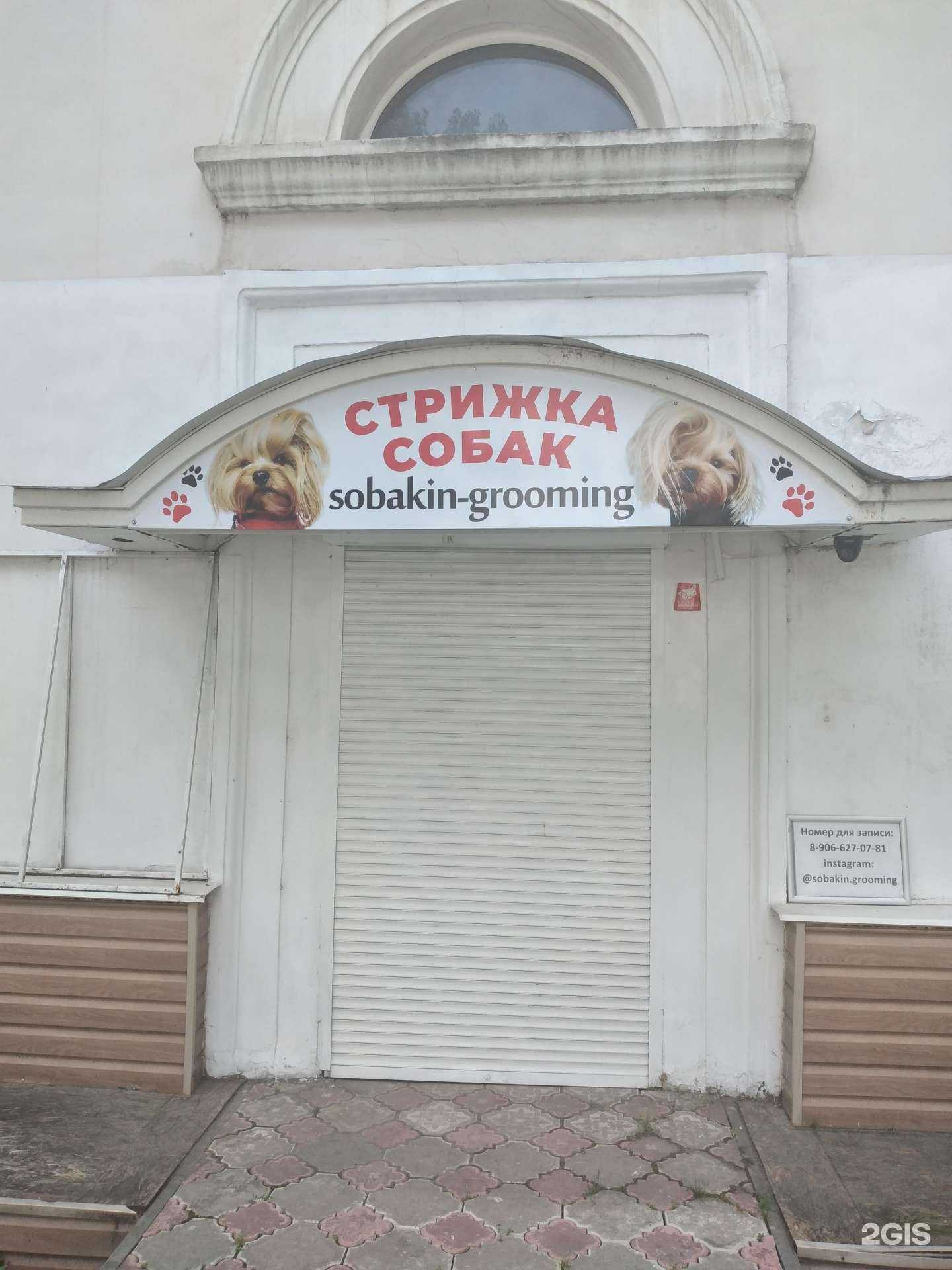 Отзывы на компанию Sobakin-grooming в Новомосковске c фото