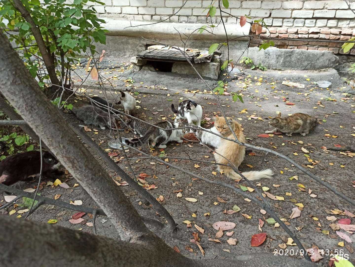 Отзывы на компанию Парикмахерская в Барнауле c фото - фотография 2 из 2