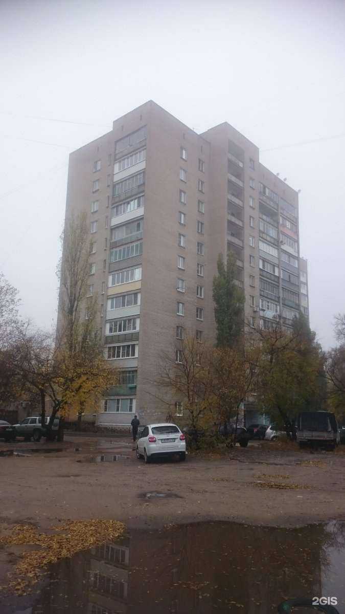 Отзывы на компанию Levita в Воронеже c фото - фотография 2 из 2