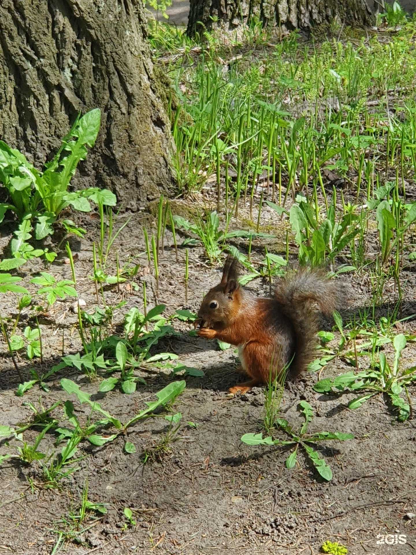 Отзывы на компанию Гео-тур в Нижнем Новгороде c фото