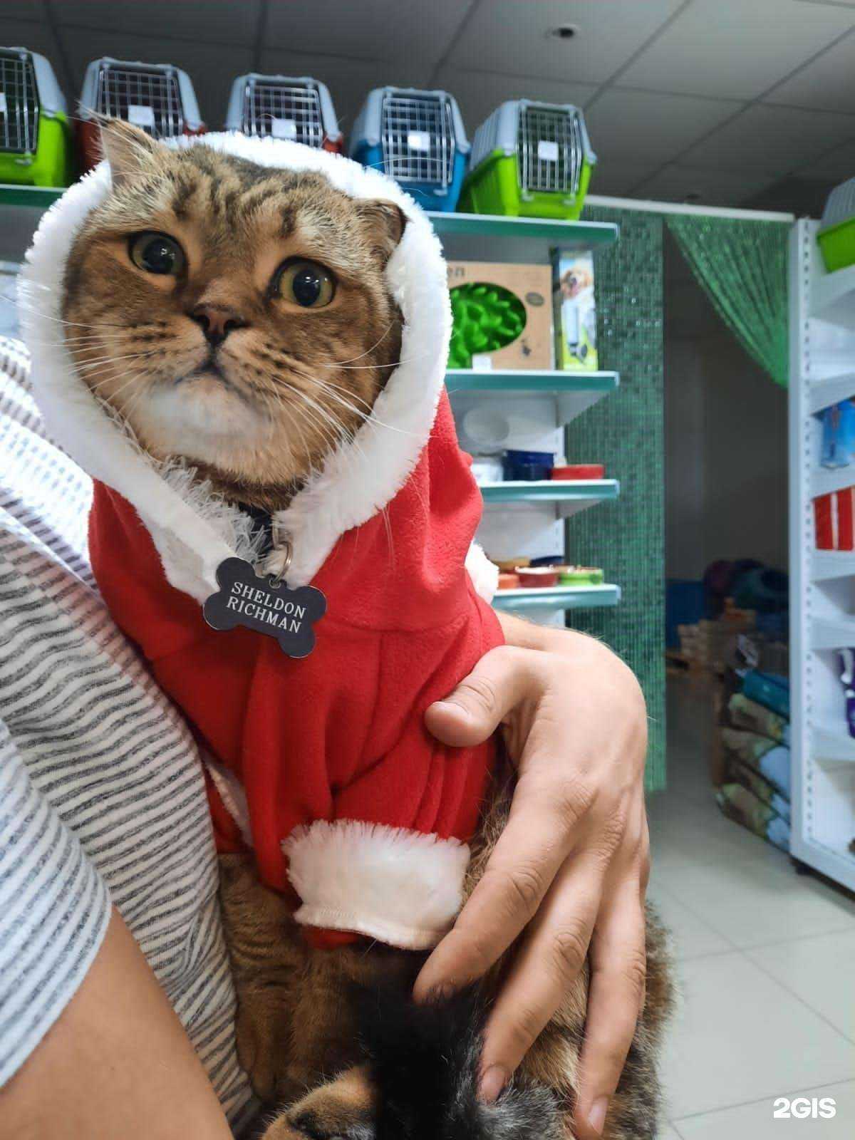 Отзывы на компанию Сахарная косточка в Пятигорске c фото