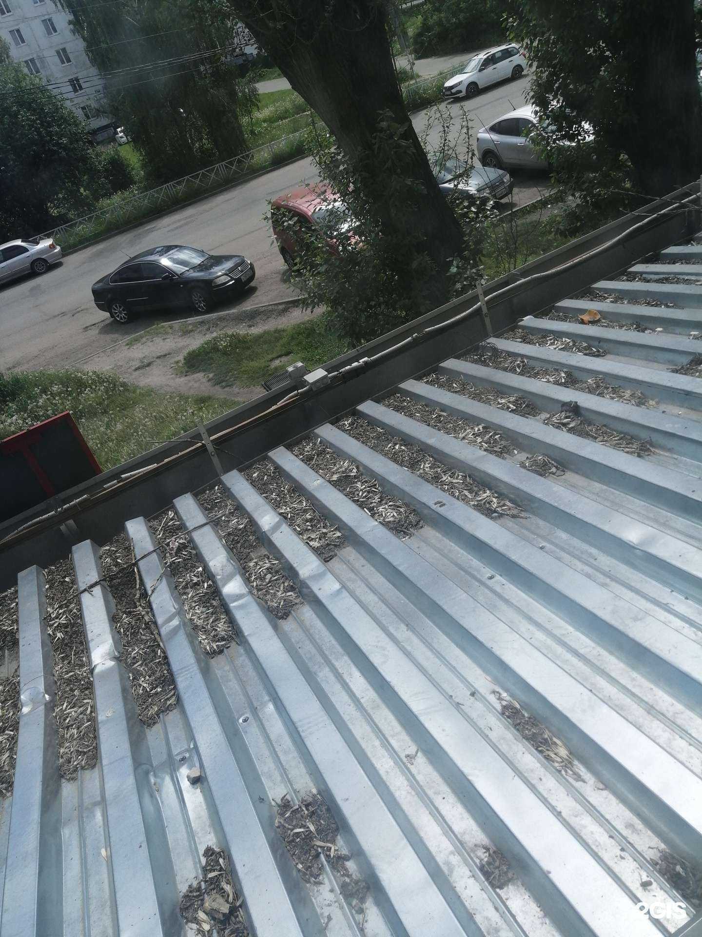 Отзывы на компанию Максавит в Ярославле c фото - фотография 2 из 2