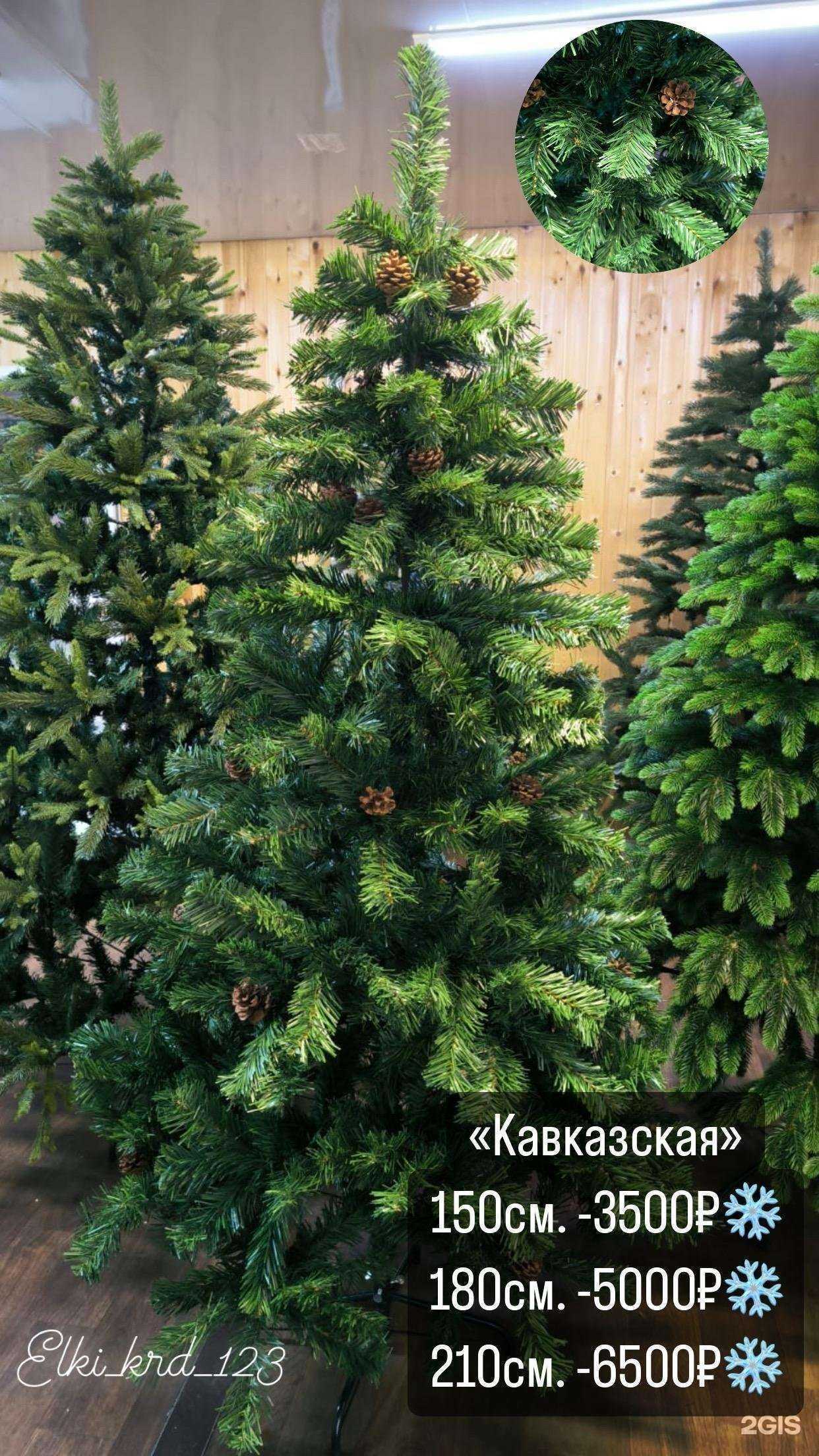 Отзывы на компанию Elki_krd_123 в г. Краснодар c фото