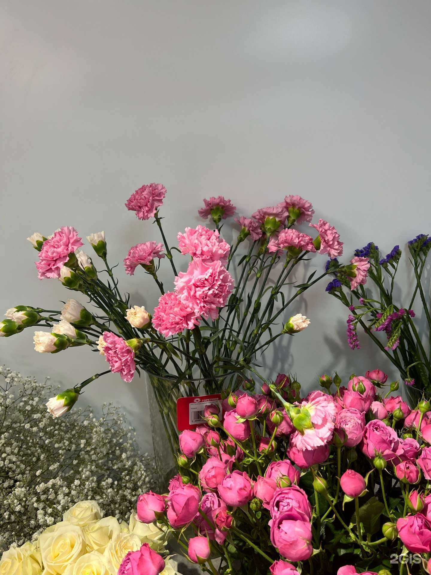 Отзывы на компанию Горкунов в г. Новосибирск c фото