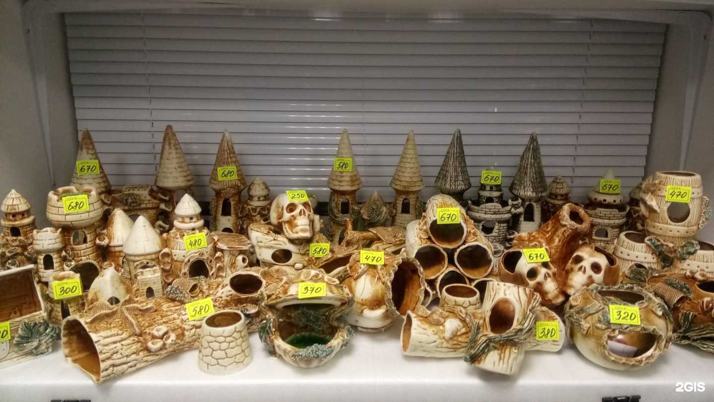 Отзывы на компанию Золотая рыбка в г. Уфа c фото