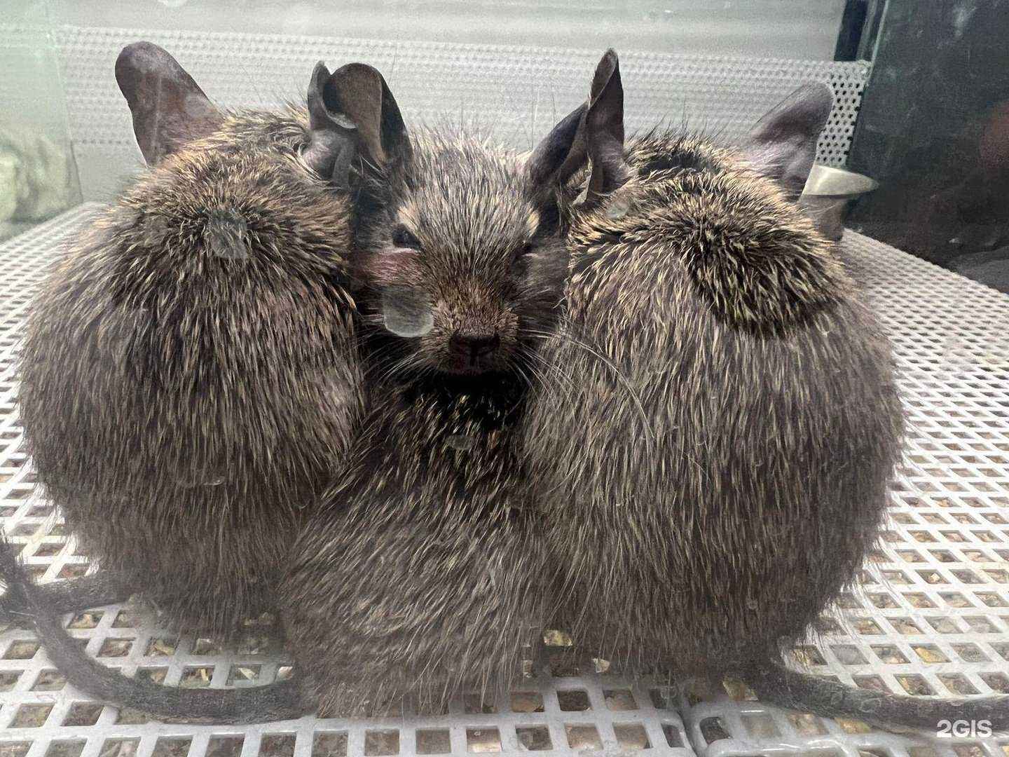 Отзывы на компанию Аквариум в г. Апрелевка c фото