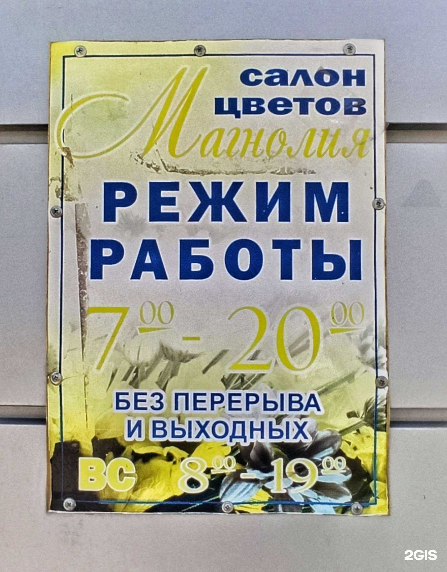 Отзывы на компанию Магнолия в Ульяновске c фото