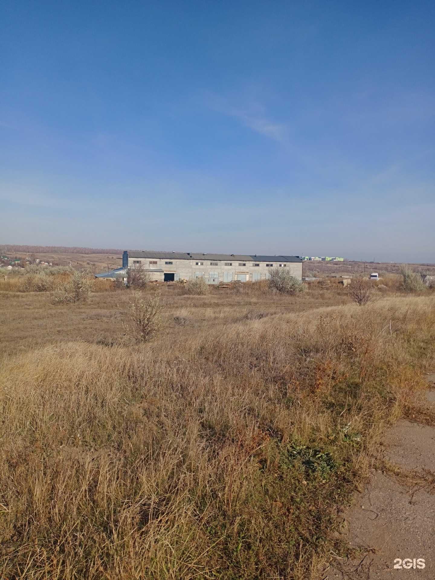 Отзывы на компанию Трал в г. Саратов c фото