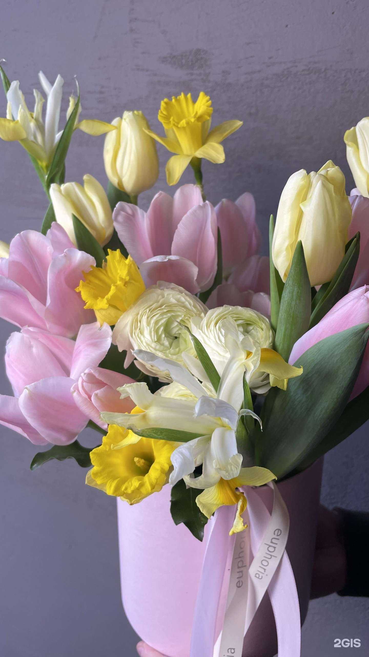 Отзывы на компанию Euphoria в г. Белгород c фото