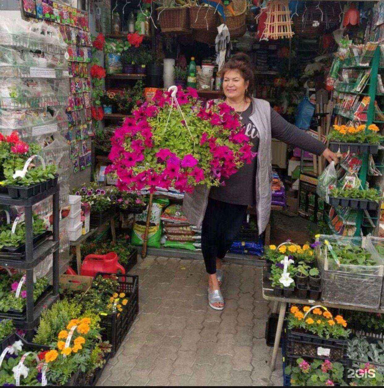 Отзывы на компанию Сад огород в Калининграде c фото