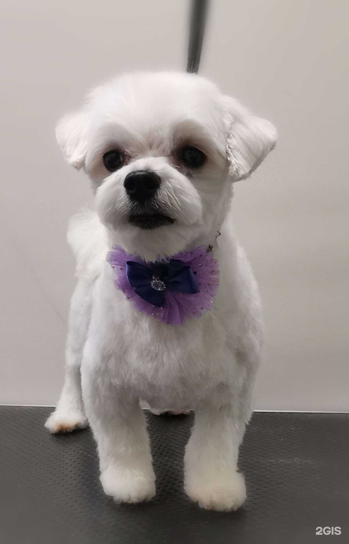 Отзывы на компанию Симфония в Челябинске c фото