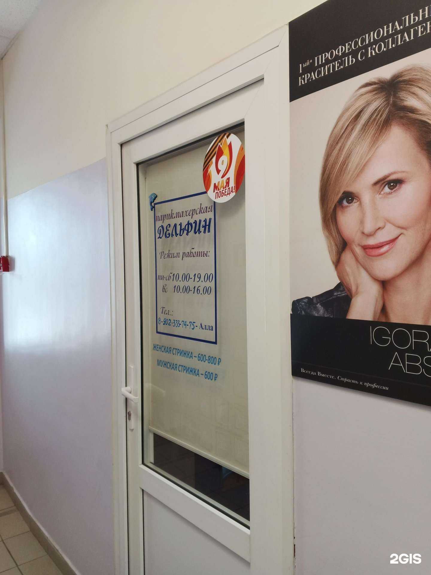 Отзывы на компанию Дельфин в Ярославле c фото