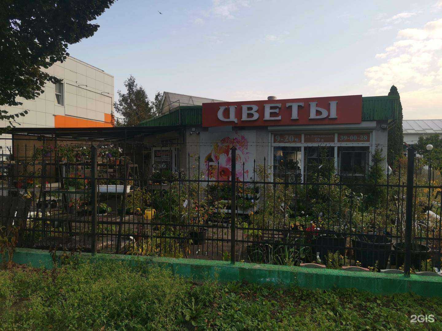 Отзывы на компанию Мой сад в Калининграде c фото - фотография 2 из 2