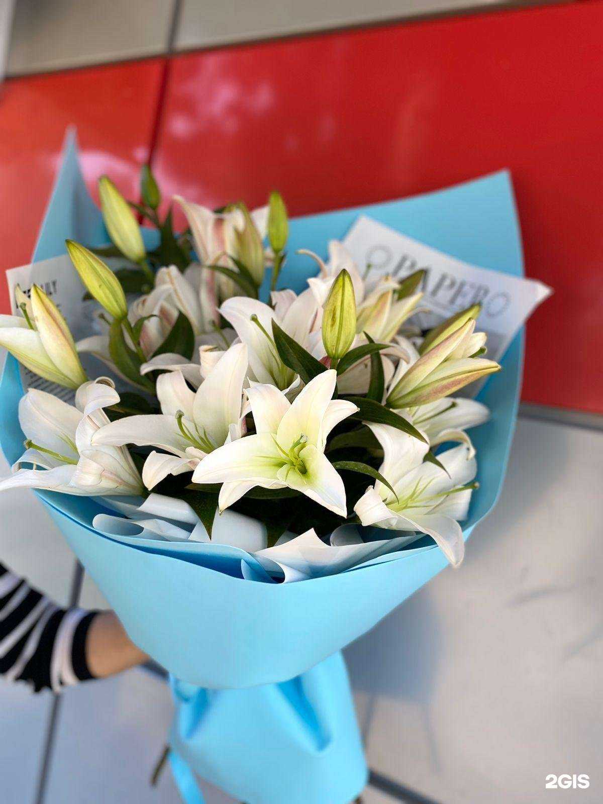 Отзывы на компанию Oasis в Уфе c фото