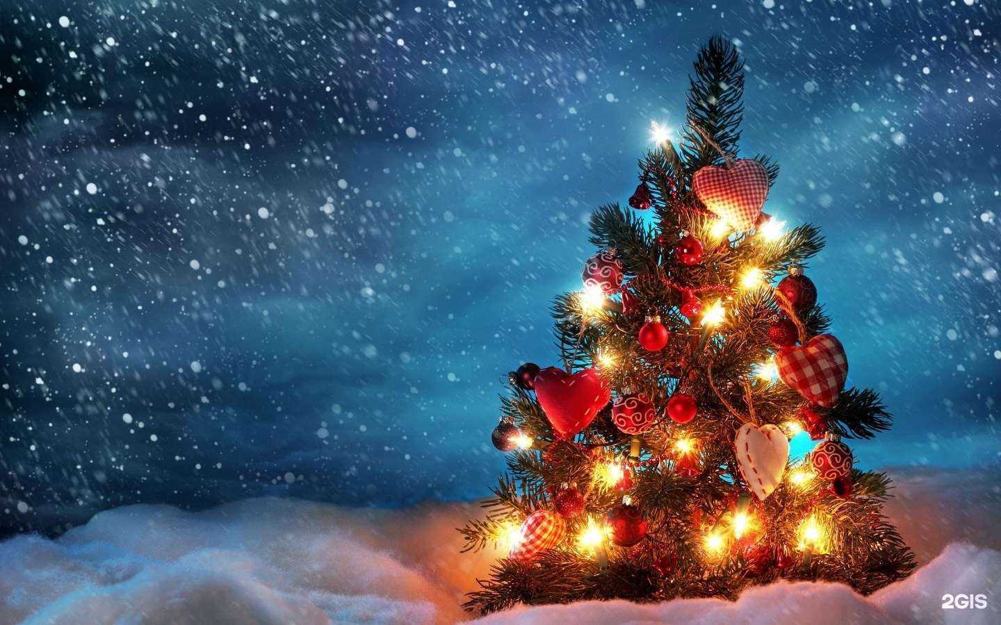 Отзывы на компанию Академия красоты и здоровья в Екатеринбурге c фото