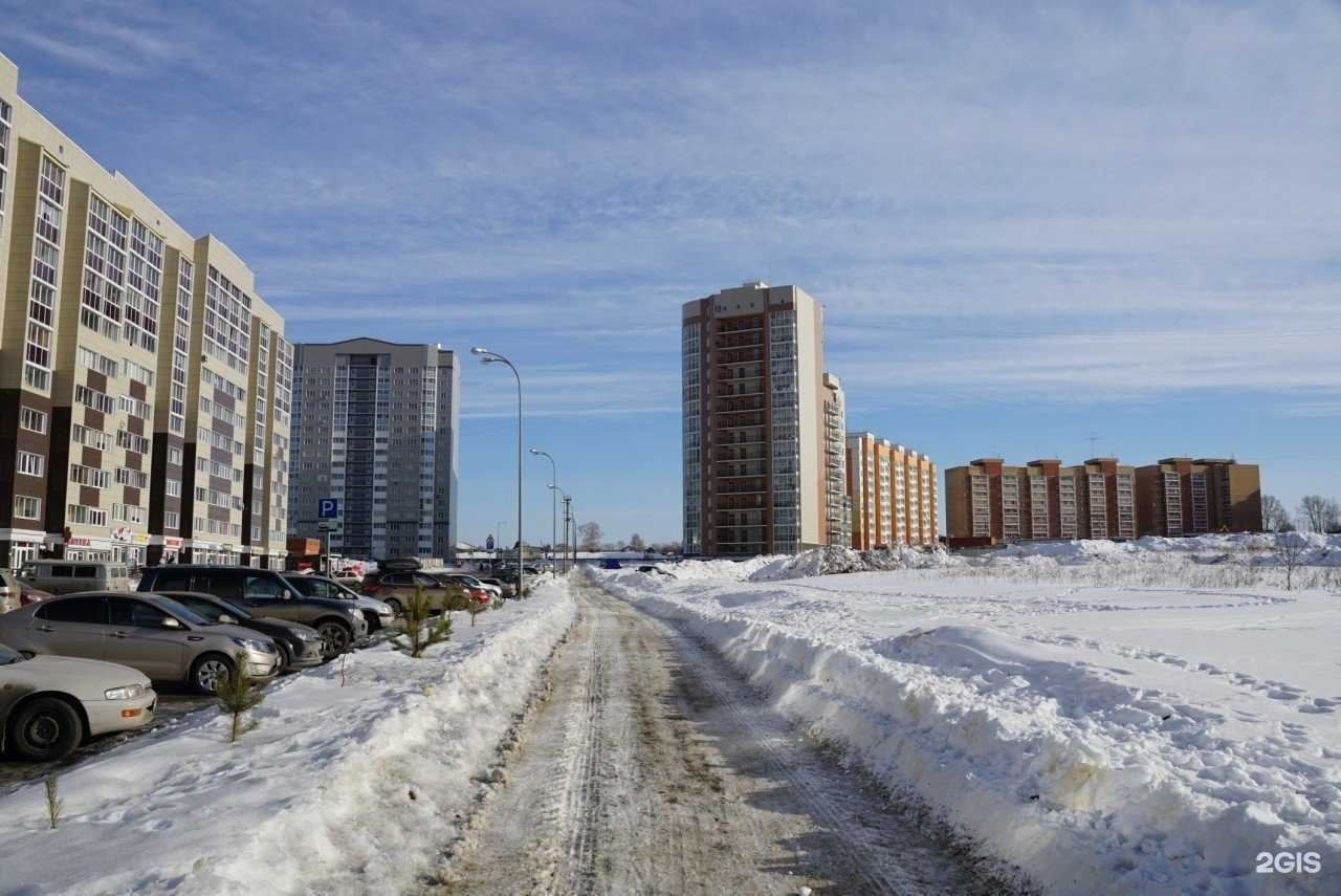 Отзывы на компанию Федерация киокушин Кузбасса в Кемерове c фото - фотография 2 из 2