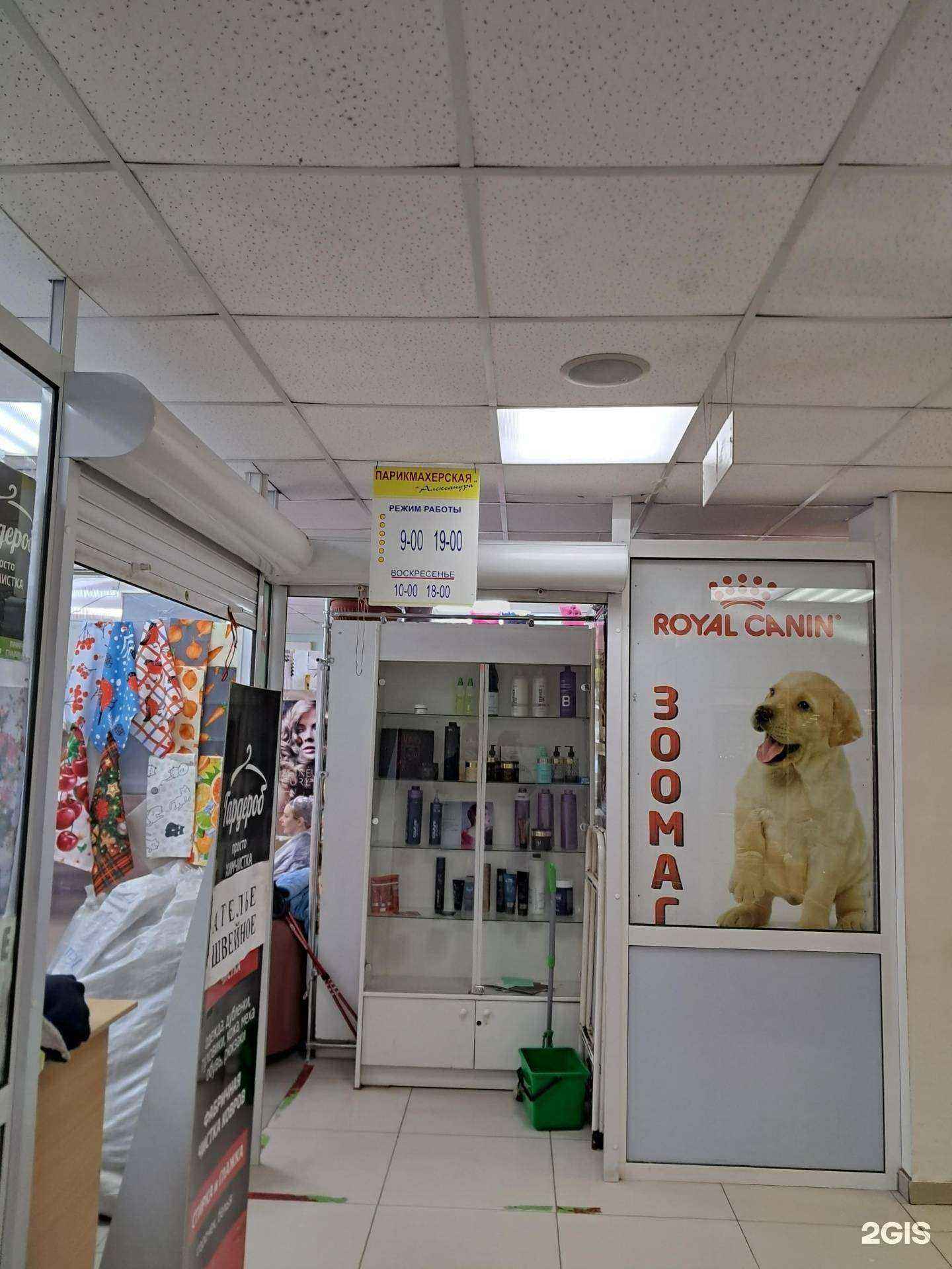 Отзывы на компанию Александра в Тольятти c фото