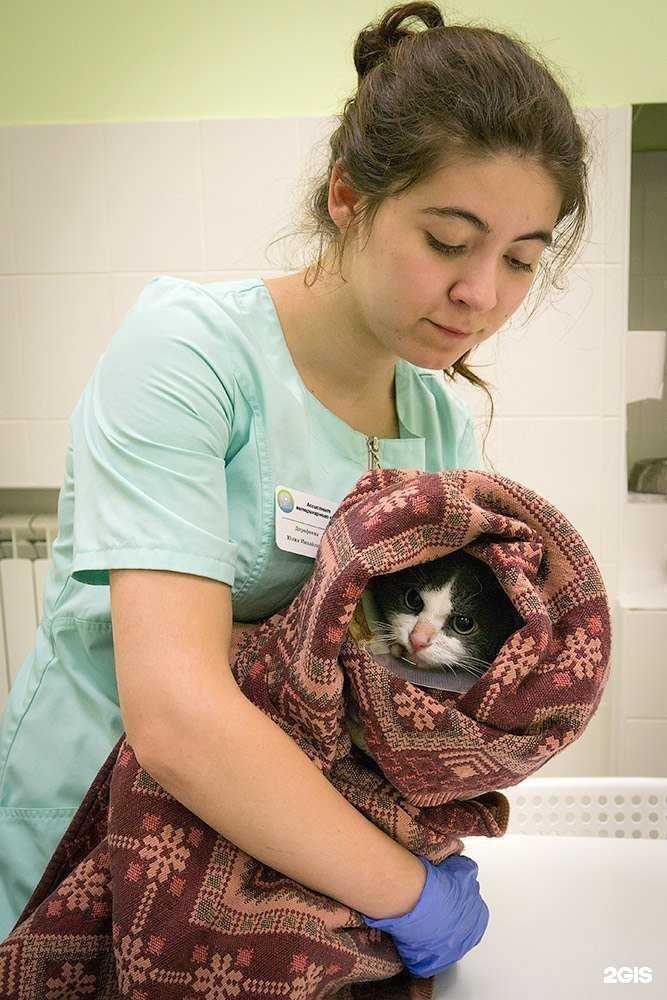 Отзывы на компанию Ветмастер в Раменском c фото