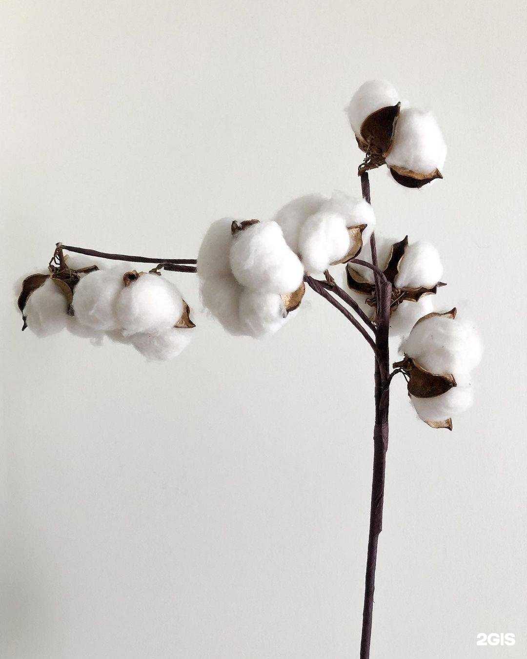 Отзывы на компанию Бюстьер в г. Новороссийск c фото