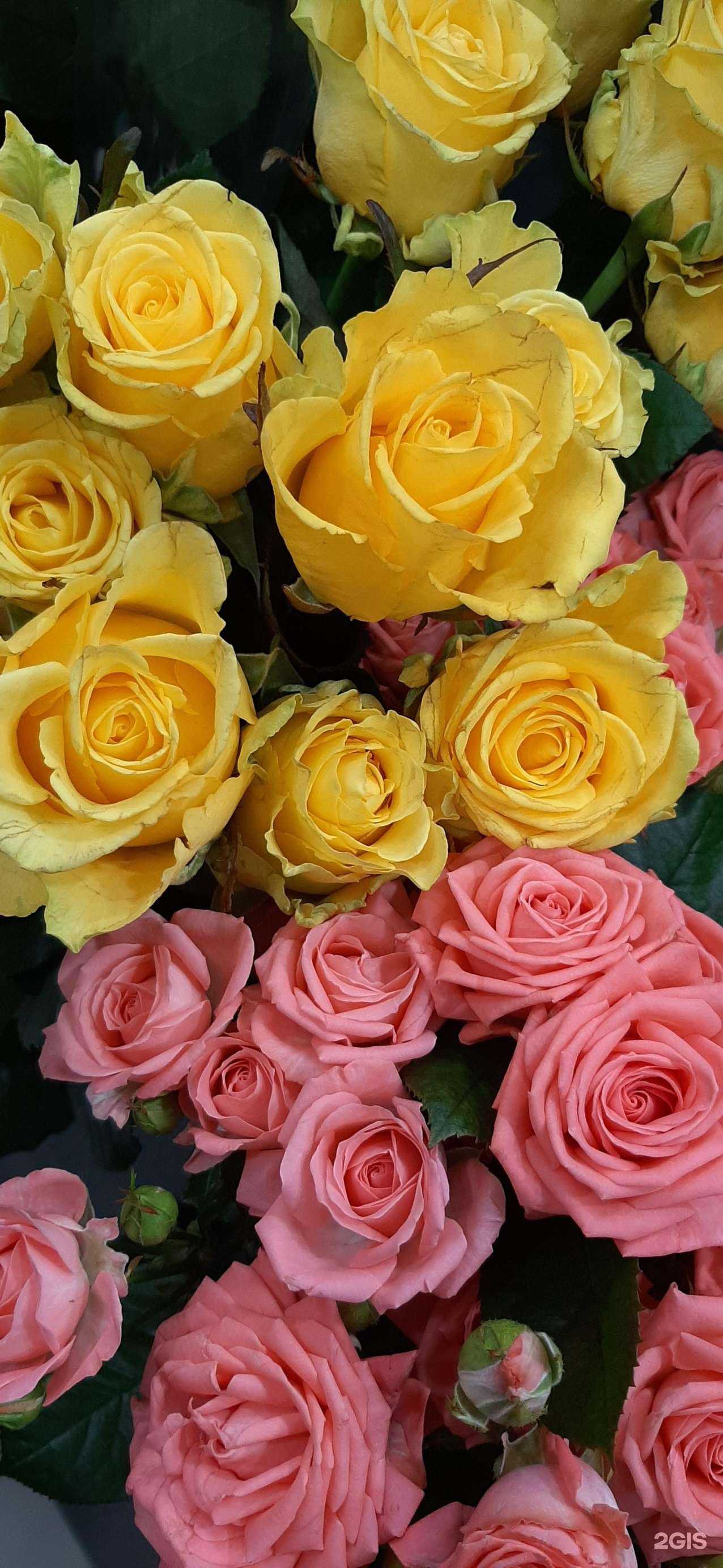 Отзывы на компанию Цветочный магазин в Белореченске c фото - фотография 2 из 2