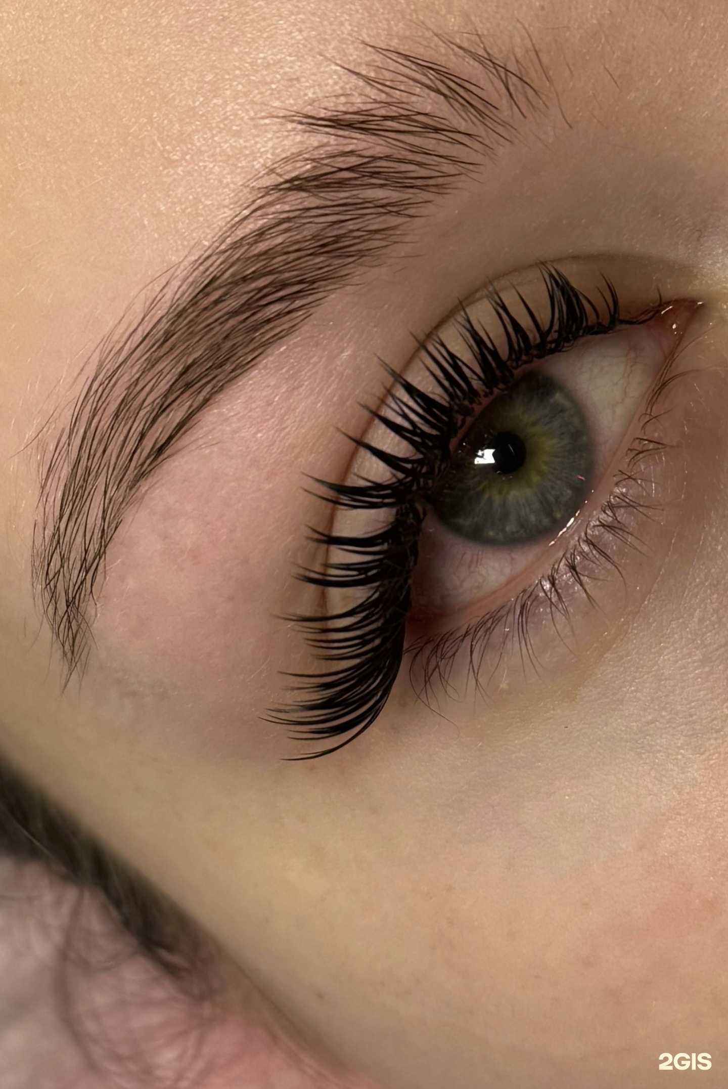 Отзывы на компанию Alina Lash в г. Сыктывкар c фото