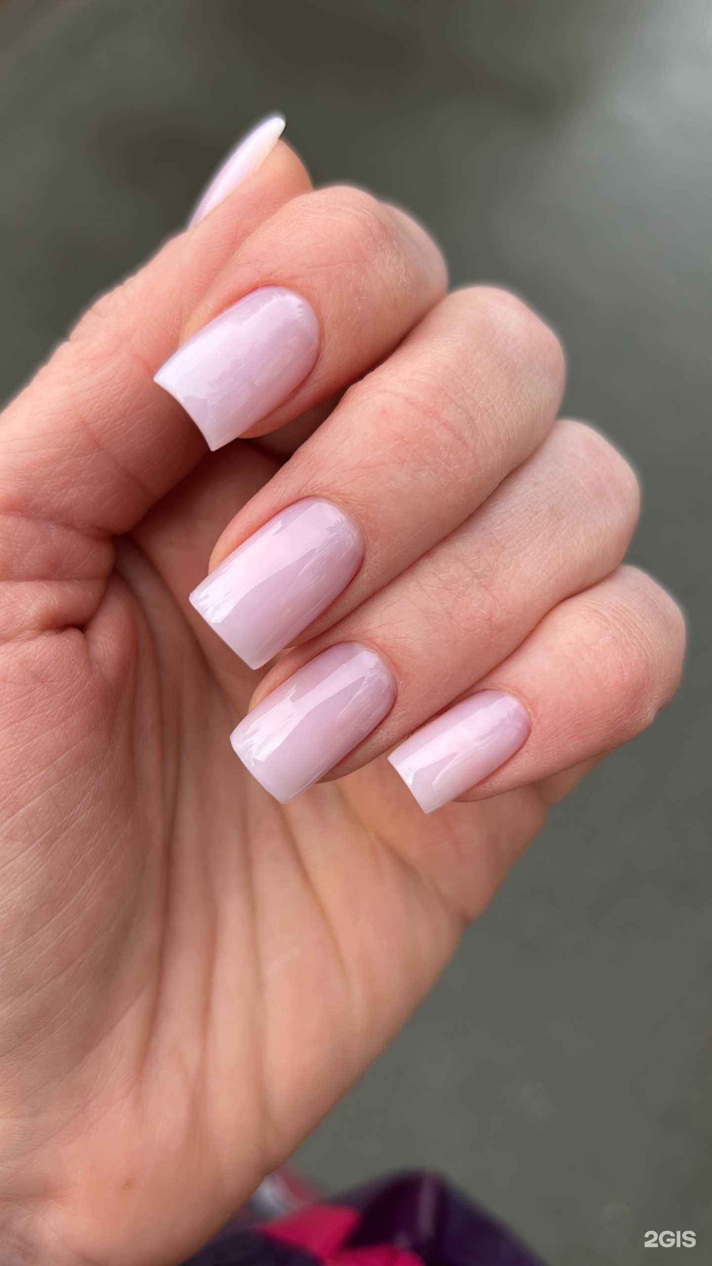 Отзывы на компанию NellyNail`s в г. Новосибирск c фото