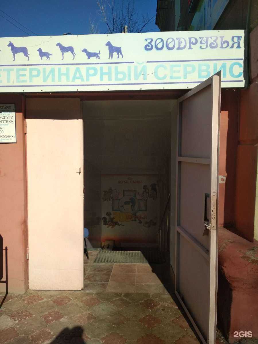 Отзывы на компанию Зоодрузья в Волгограде c фото