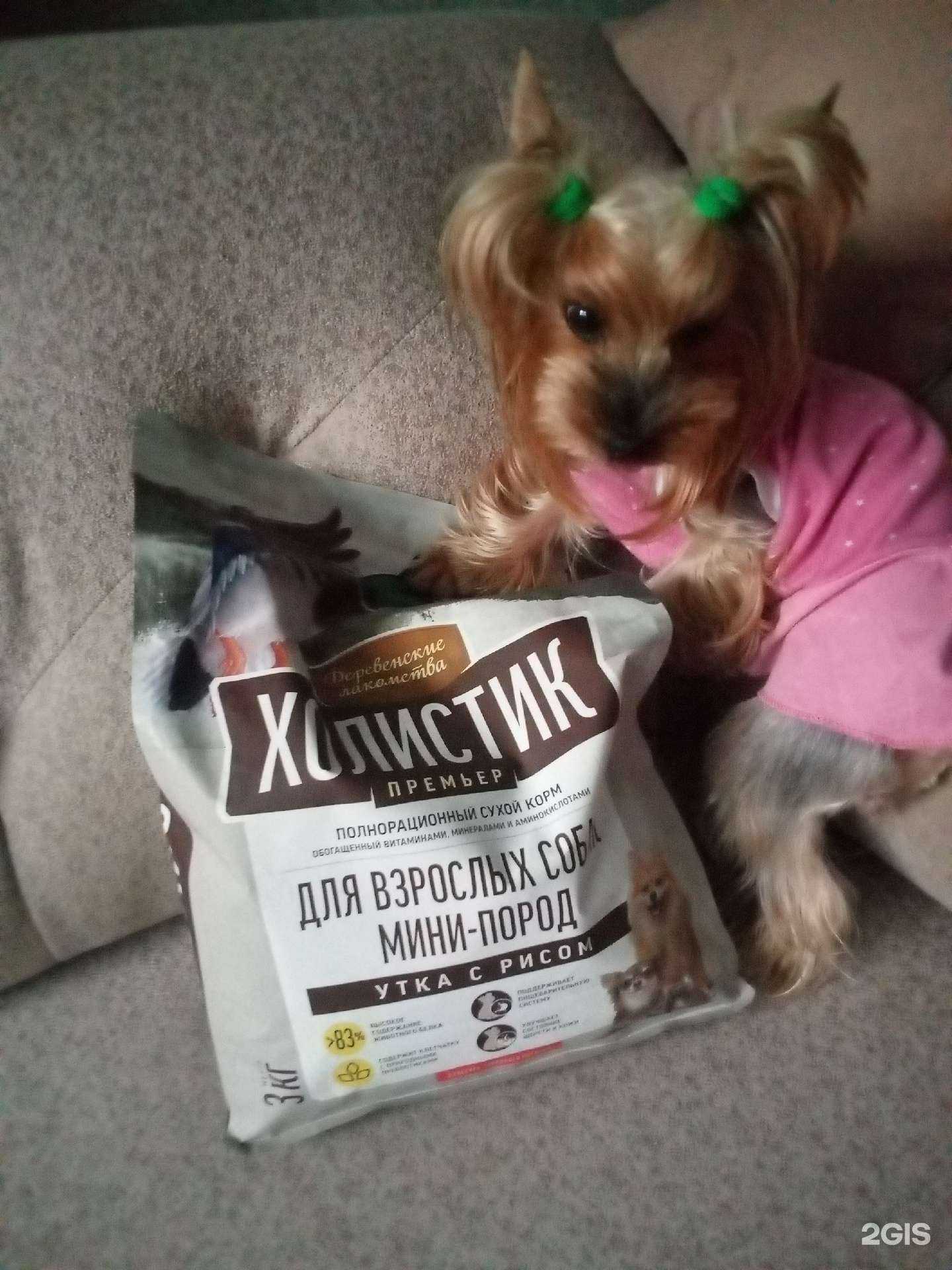 Отзывы на компанию Зоозавр в г. Тамбов c фото