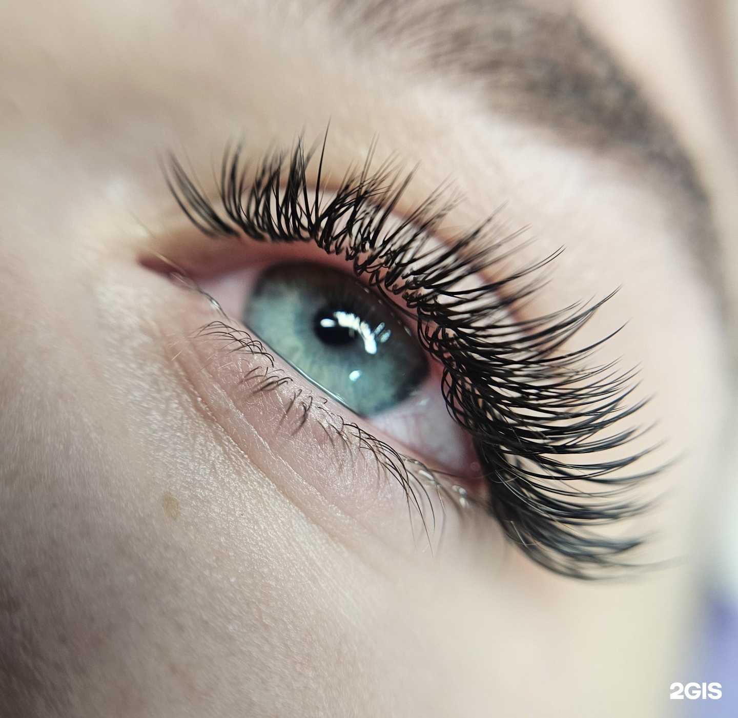 Отзывы на компанию Like в Томске c фото