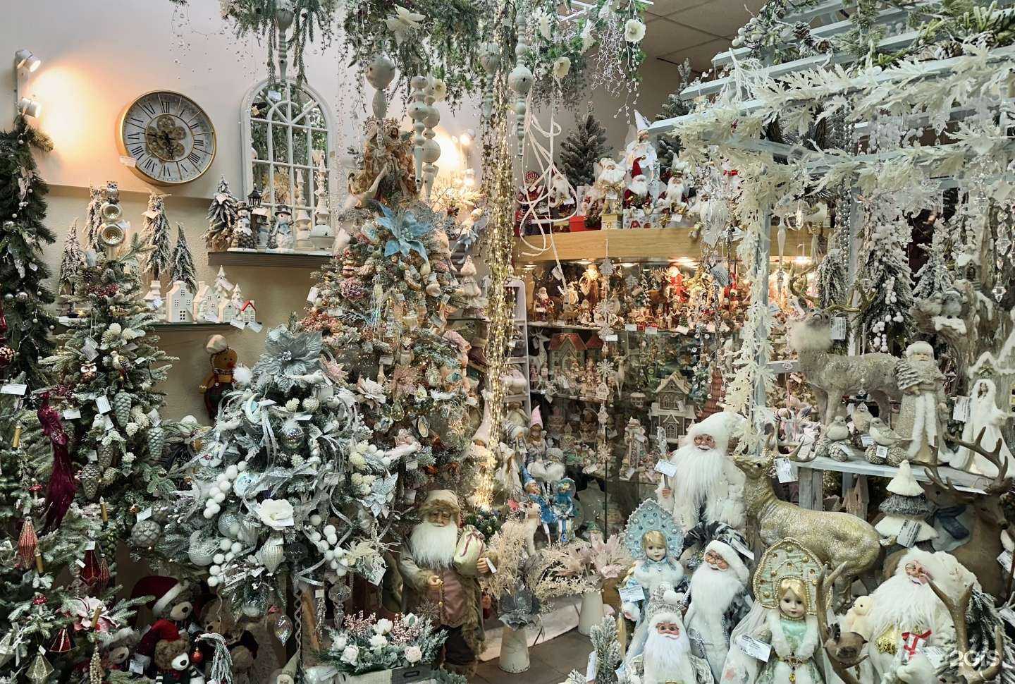 Отзывы на компанию Максимум в г. Красноярск c фото