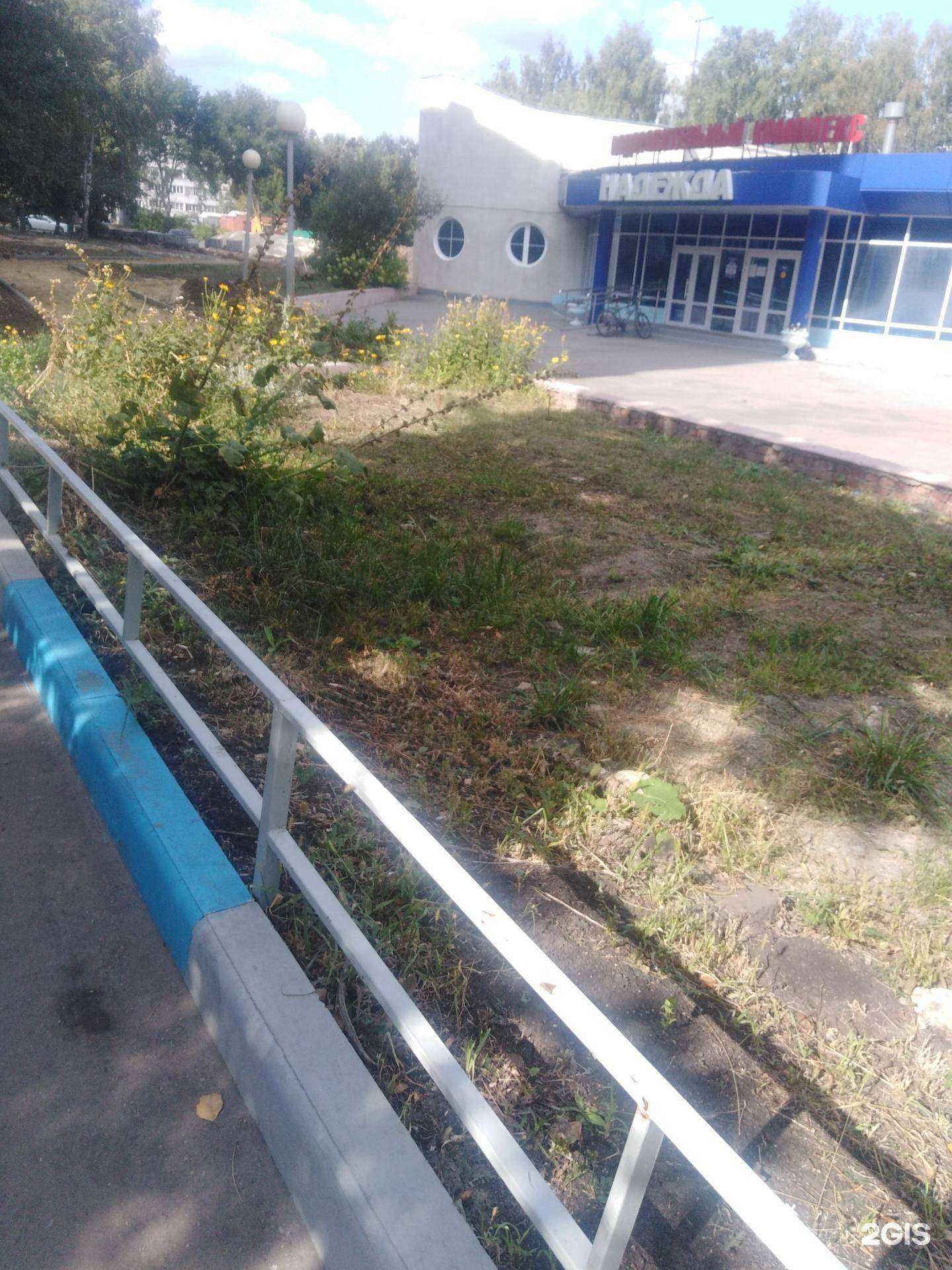 Отзывы на компанию Pankova team в Тамбове c фото