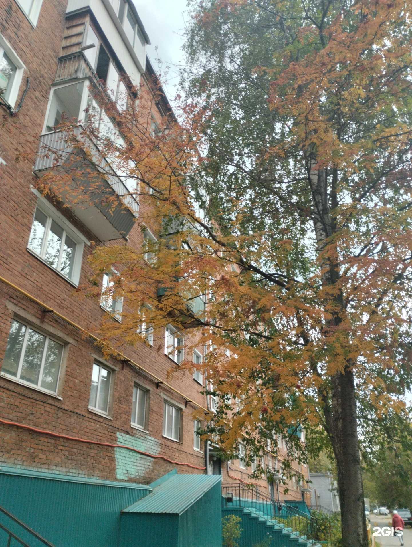 Отзывы на компанию Магнит в Сарапуле c фото - фотография 2 из 2