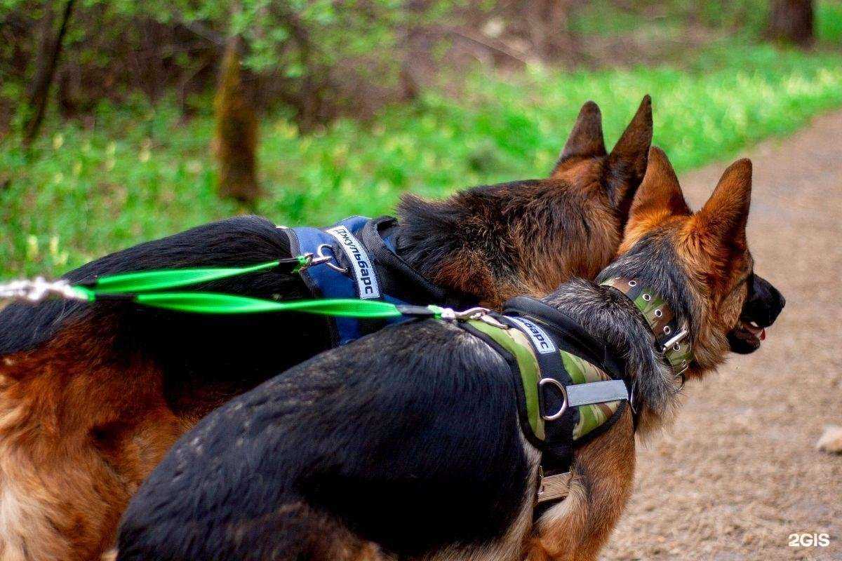 Отзывы на компанию Кинпроф в г. Томск c фото