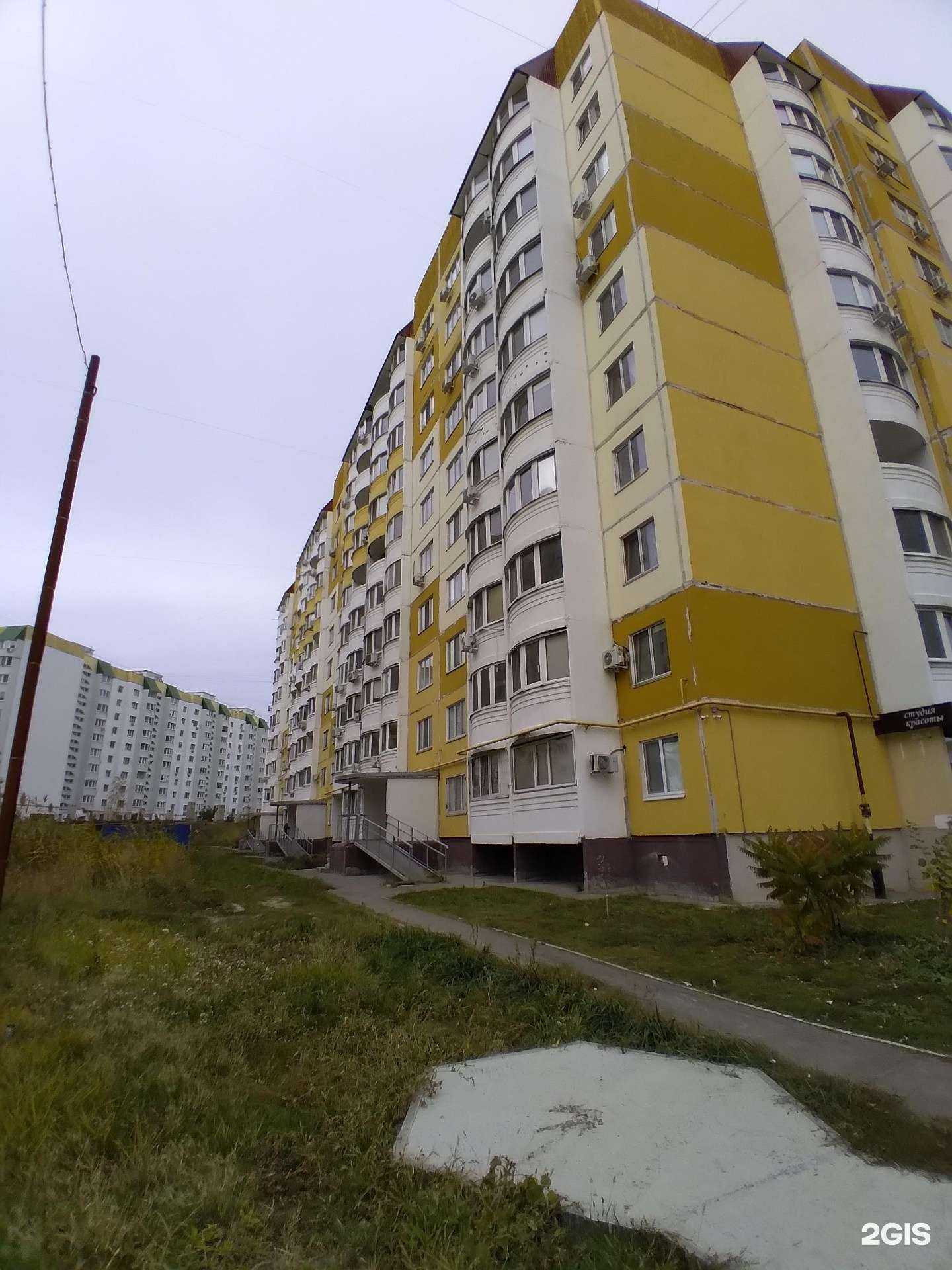 Отзывы на компанию Кудри в Саратове c фото - фотография 2 из 2