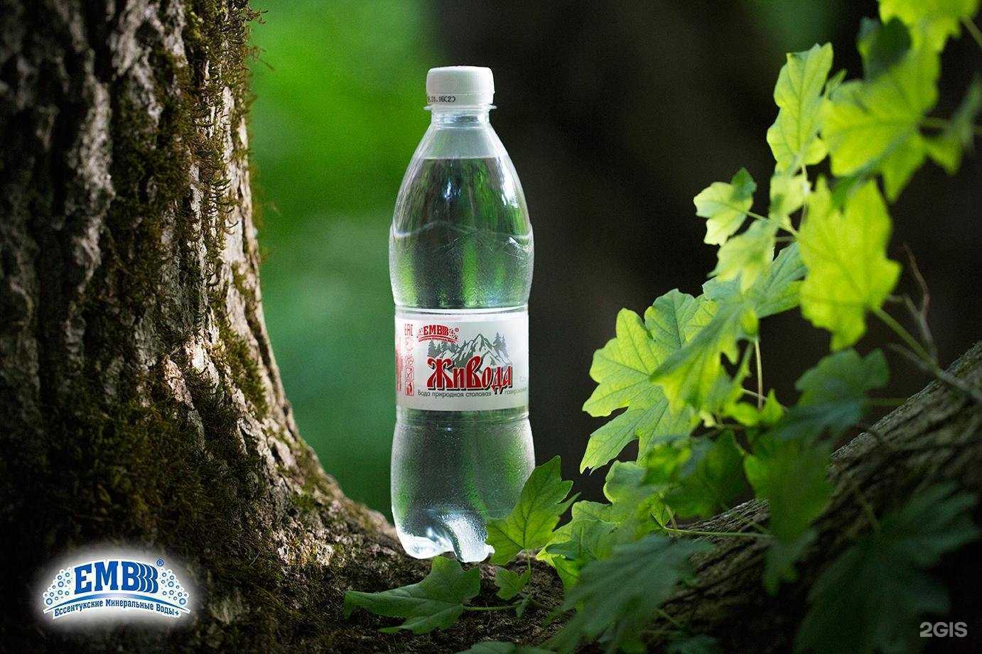 Отзывы на компанию Ессентукские минеральные воды + в Ессентуках c фото