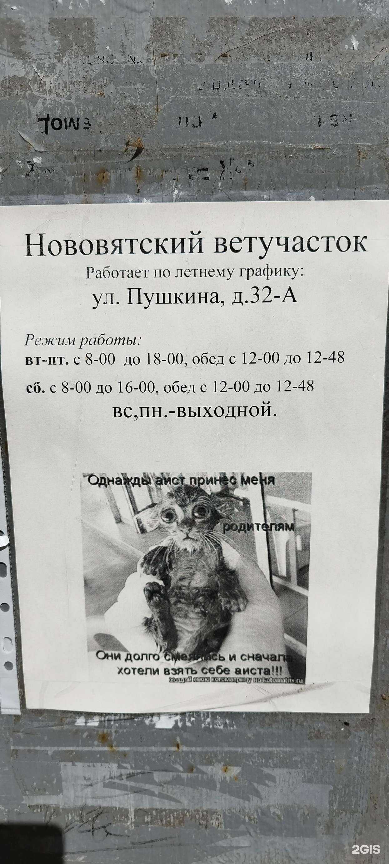 Отзывы на компанию Ветеринарная клиника в Кирове c фото