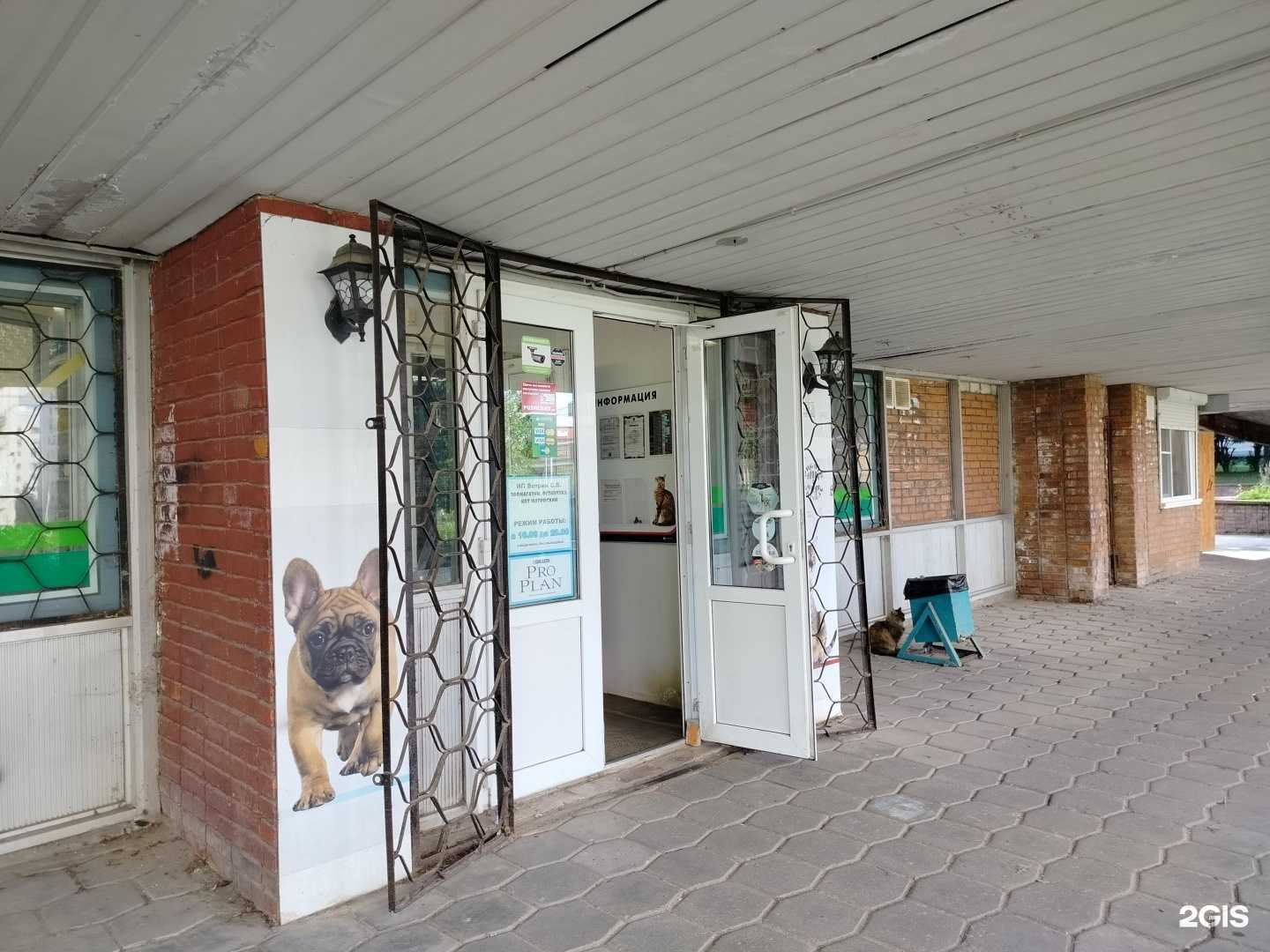 Отзывы на компанию Кот Матроскин в г. Пущино c фото