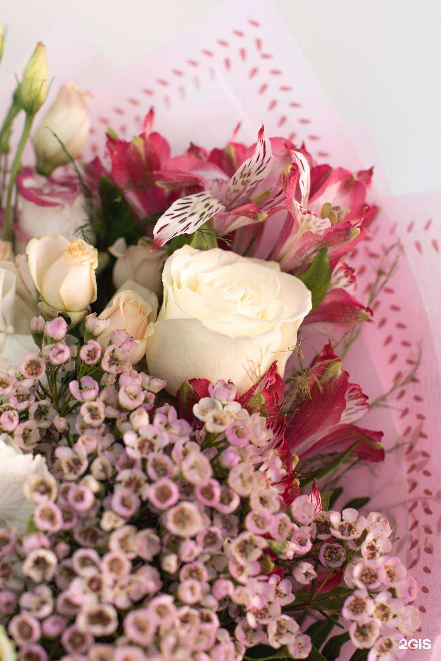 Отзывы на компанию Дом цветков в г. Камень-на-Оби c фото