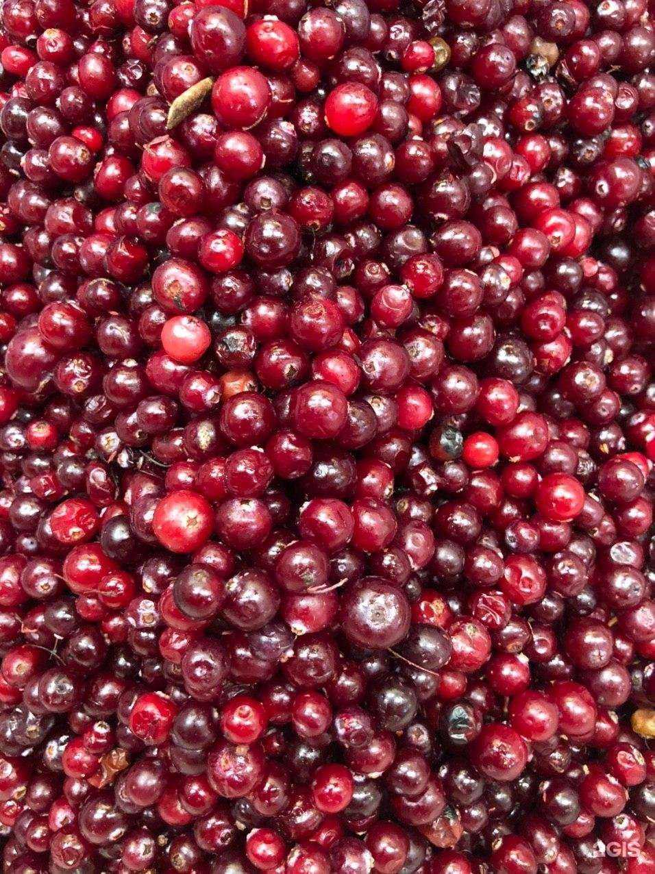 Отзывы на компанию Ягодник в Иркутске c фото