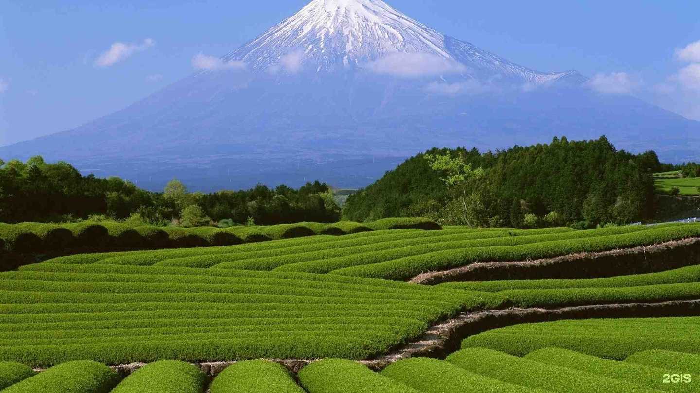 Отзывы на компанию Global products в Королёве c фото